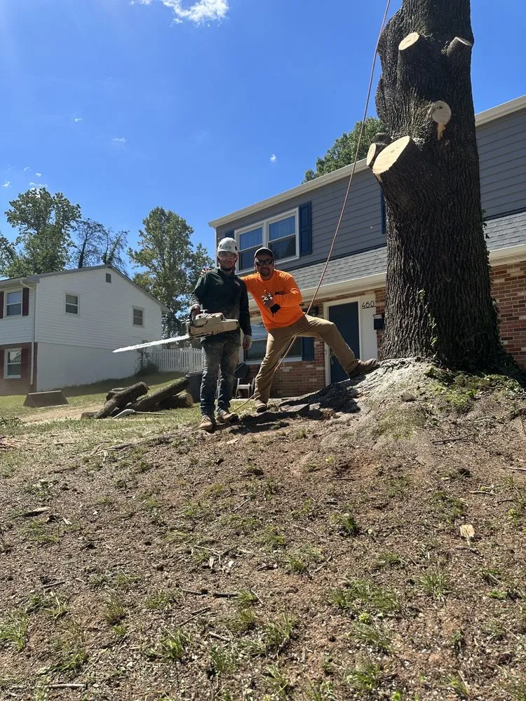 Local garden landscaping experts serving Dumfries, VA - American Tree & Landscaping