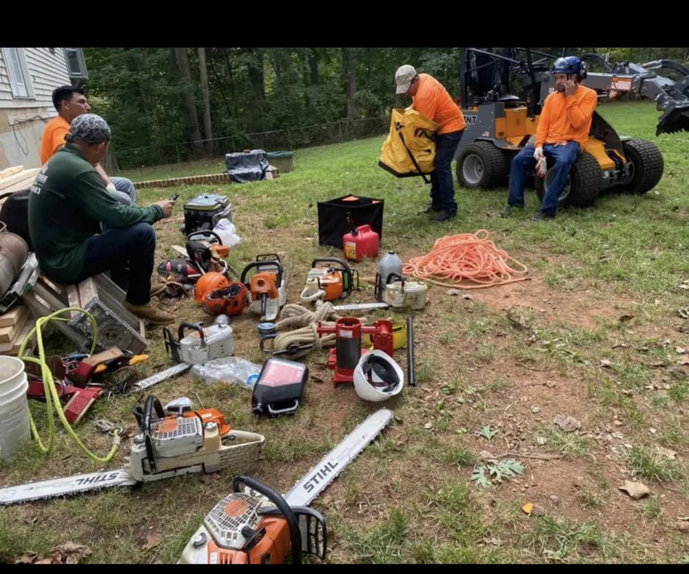 Custom yard cleanup service in Dumfries, VA by American Tree & Landscaping