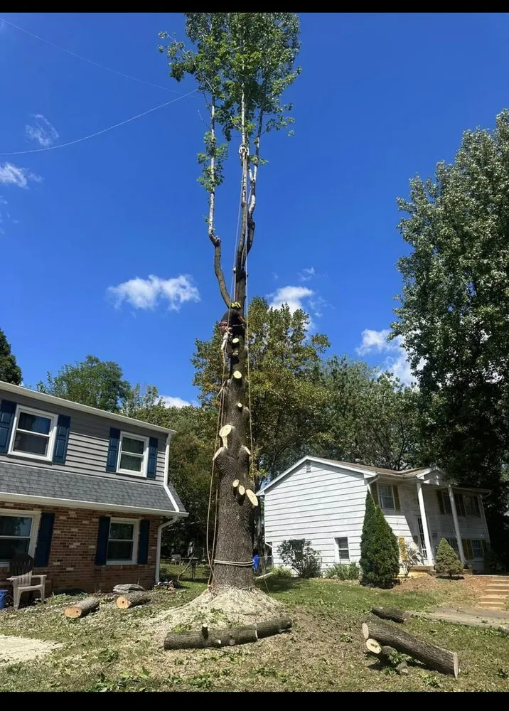 Trusted landscape design in Dumfries, VA by American Tree & Landscaping