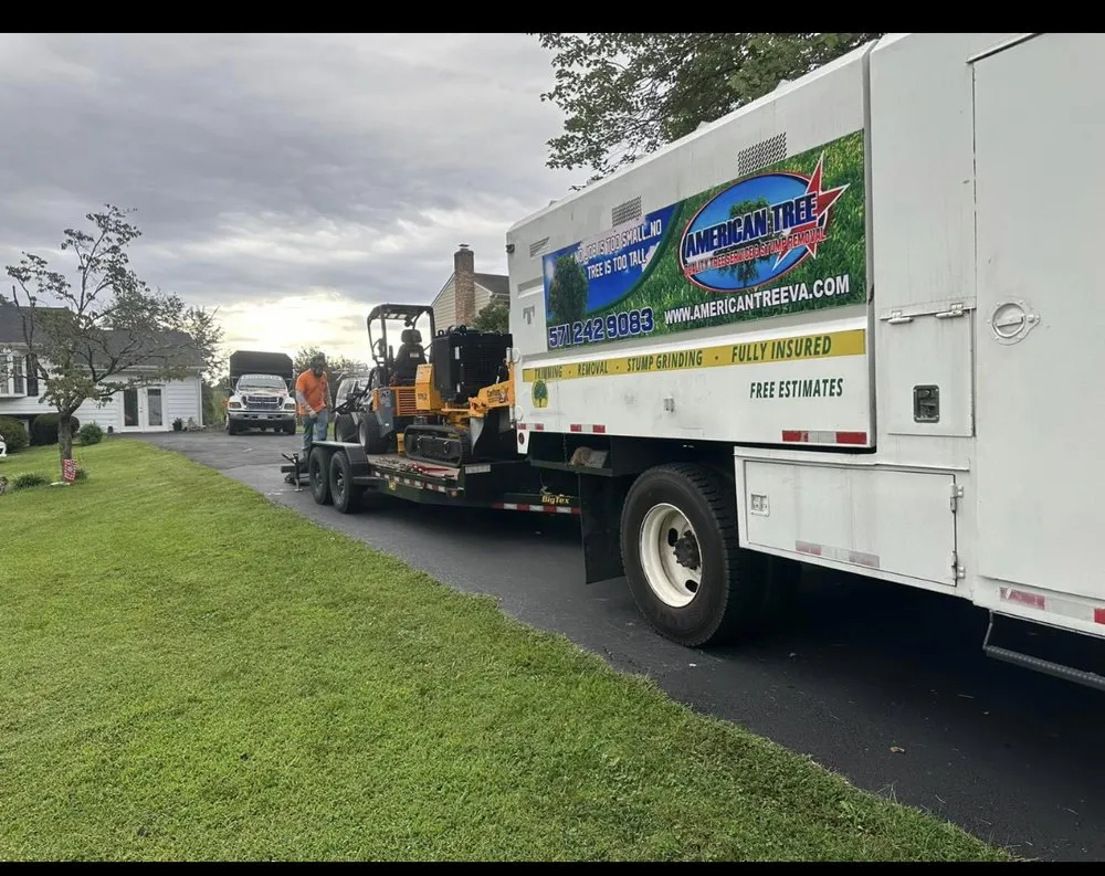 Reliable landscape design for homes in Dumfries, VA by American Tree & Landscaping