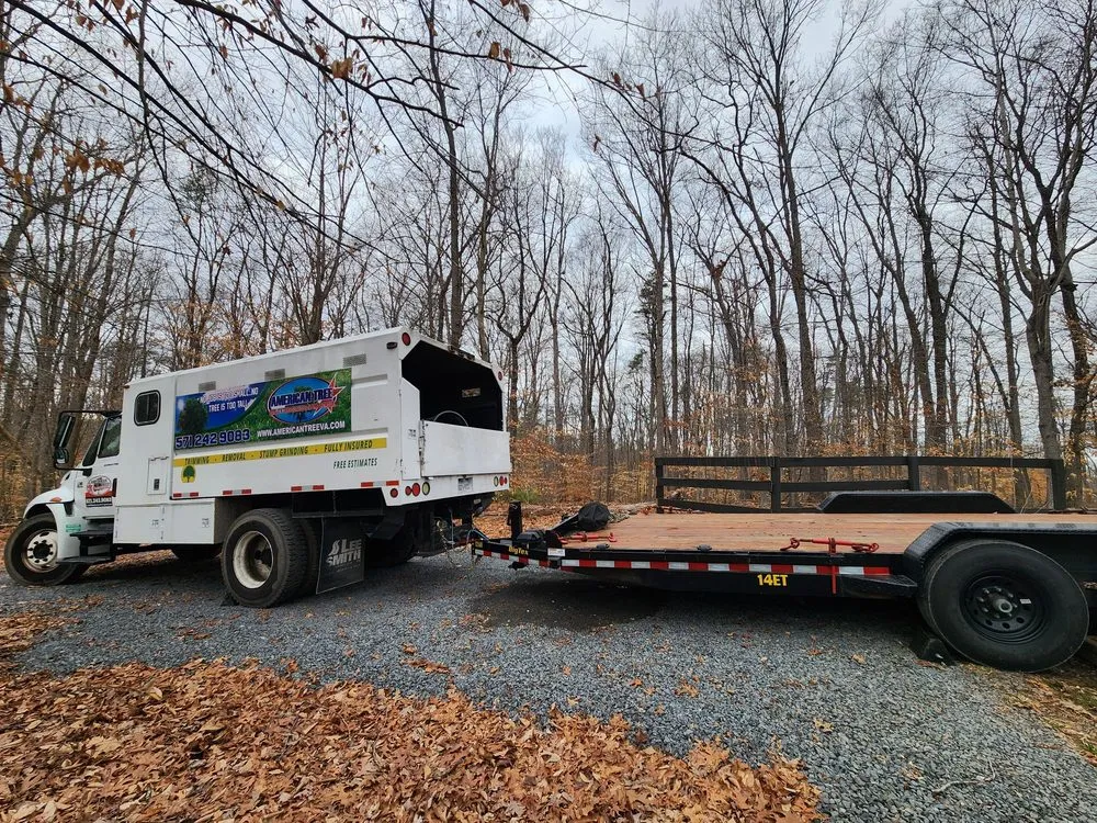 Custom yard cleanup service experts serving Dumfries, VA - American Tree & Landscaping