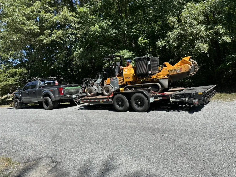 Affordable residential landscaping for year-round maintenance across Dumfries, VA - American Tree & Landscaping