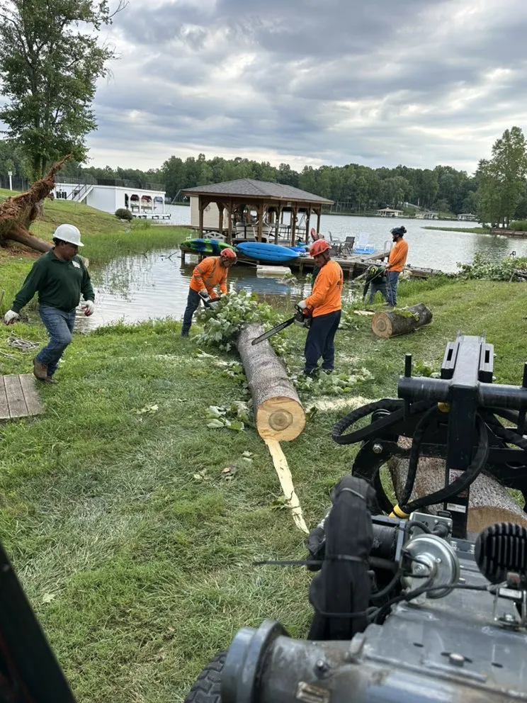 Reliable landscape design near you across Dumfries, VA - American Tree & Landscaping