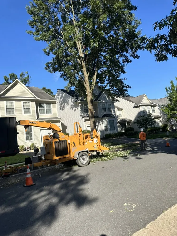 Top-rated residential landscaping for outdoor upgrades across Dumfries, VA - American Tree & Landscaping