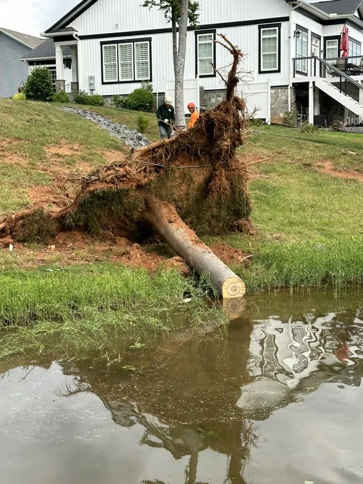 Trusted yard maintenance for homes across Dumfries, VA - American Tree & Landscaping
