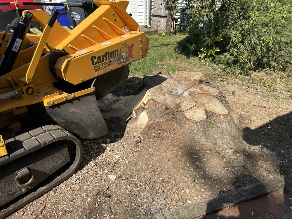 Expert landscaping services experts serving Dumfries, VA - American Tree & Landscaping