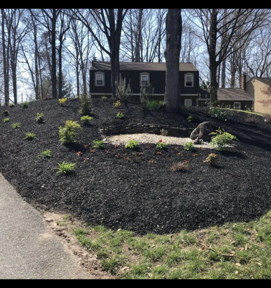 Reliable yard cleanup service near you across Dumfries, VA - American Tree & Landscaping