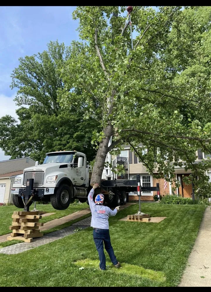 Local landscape design near you in Dumfries, VA by American Tree & Landscaping