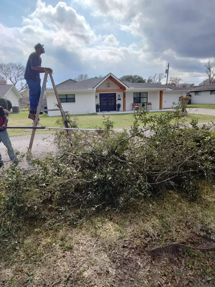 Trusted outdoor landscaping for outdoor upgrades across Port Arthur, TX - American Tree and Landscaping Services