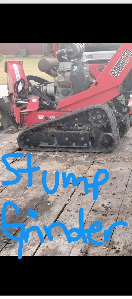 Affordable lawn mowing service in Port Arthur, TX - American Tree and Landscaping Services