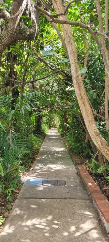 Trusted yard cleanup service for residential properties in Miami Shores, FL by American Tree and Lawn Maintenance