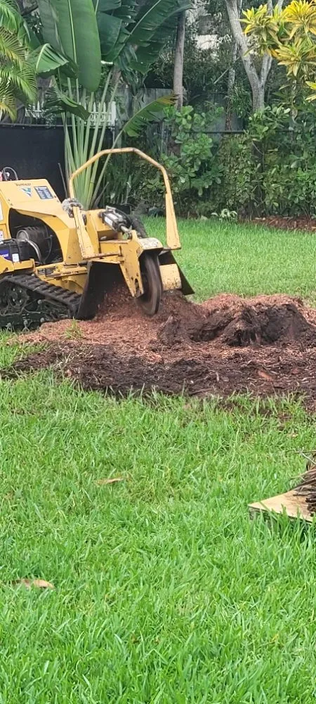 Local lawn mowing service for outdoor upgrades across Miami Shores, FL - American Tree and Lawn Maintenance