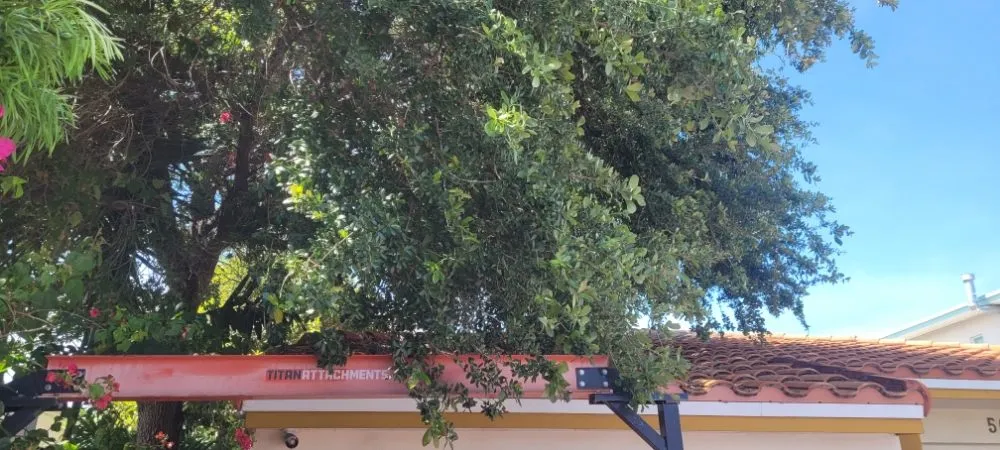 Custom landscaping services for residential properties in Miami Shores, FL by American Tree and Lawn Maintenance