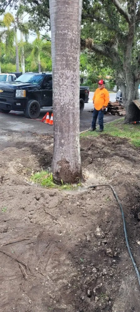 Top-rated lawn care service for residential properties across Miami Shores, FL - American Tree and Lawn Maintenance