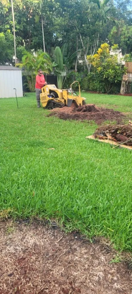 Custom lawn care service experts serving Miami Shores, FL - American Tree and Lawn Maintenance