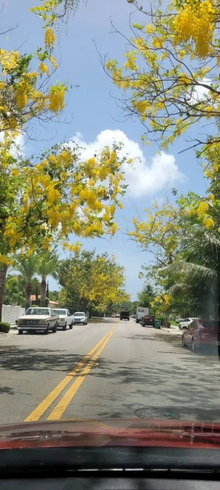 Professional garden landscaping in Miami Shores, FL by American Tree and Lawn Maintenance