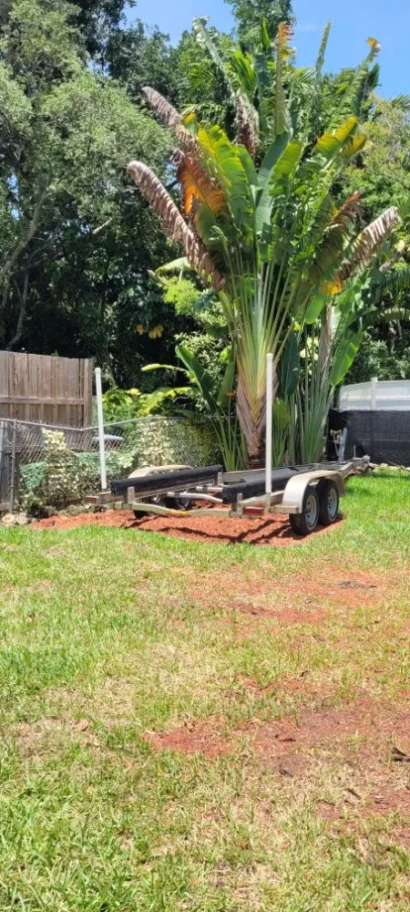 Local landscaping services in Miami Shores, FL - American Tree and Lawn Maintenance