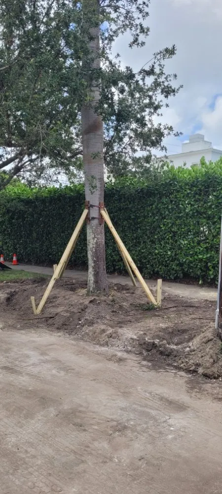 Custom lawn care service in Miami Shores, FL by American Tree and Lawn Maintenance