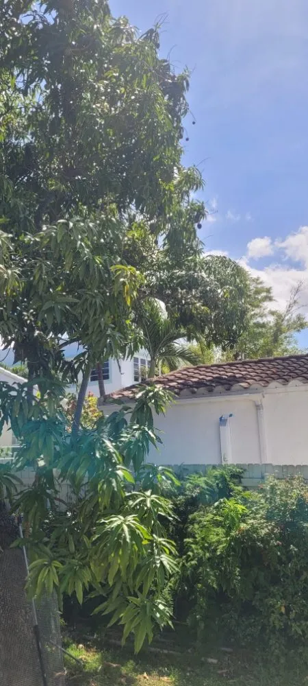 Trusted landscape installation for residential properties across Miami Shores, FL - American Tree and Lawn Maintenance