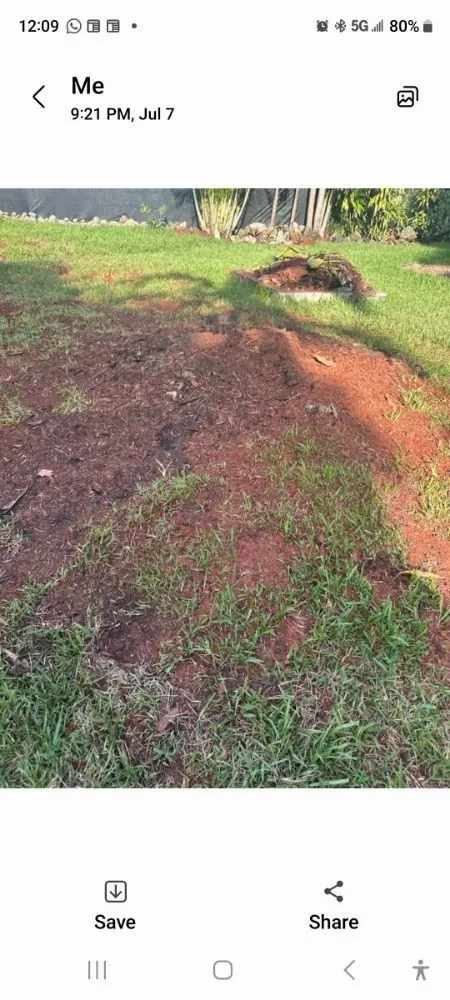 Reliable lawn mowing service in Miami Shores, FL by American Tree and Lawn Maintenance