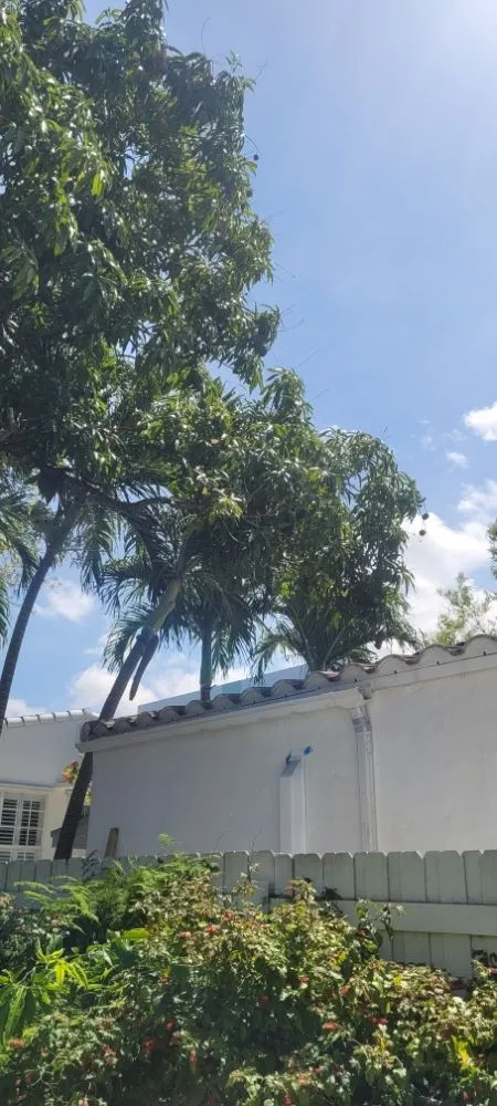 Custom landscape installation in Miami Shores, FL by American Tree and Lawn Maintenance