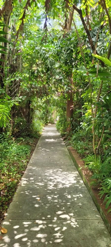 Reliable lawn mowing service experts serving Miami Shores, FL - American Tree and Lawn Maintenance