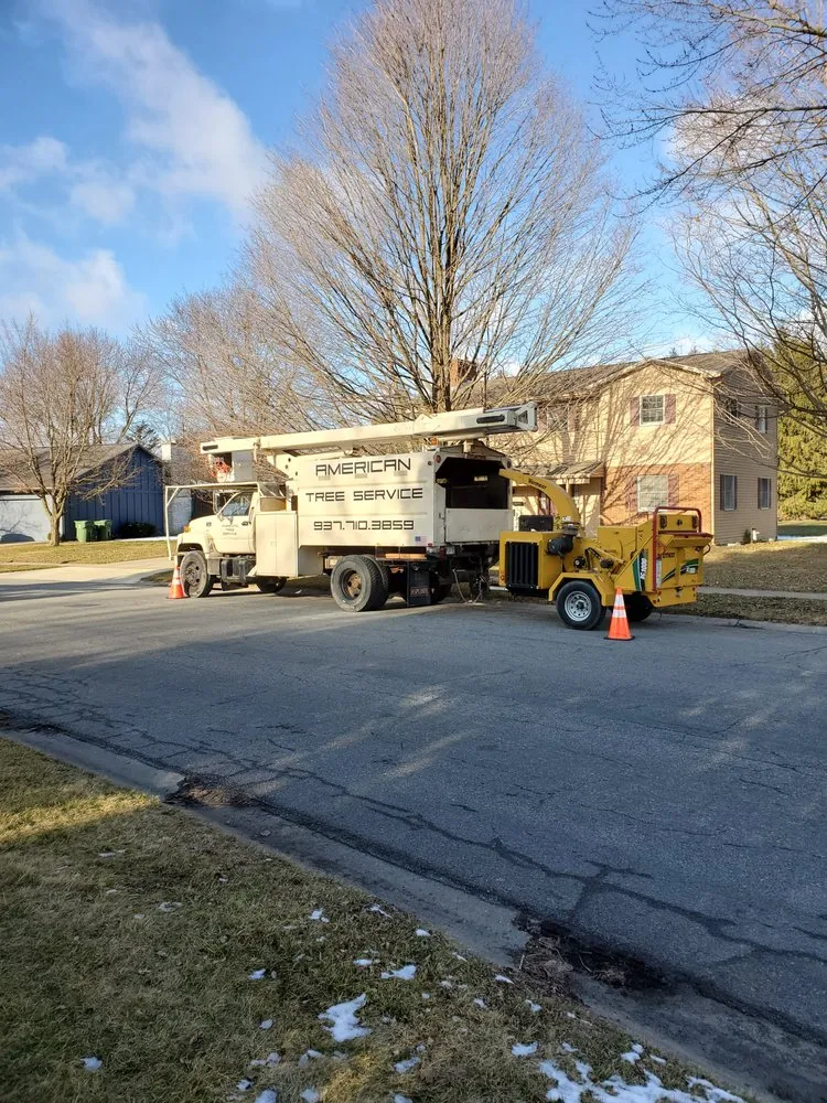 Reliable yard cleanup service for homes in Sidney, OH by American Tree And Lawn Services