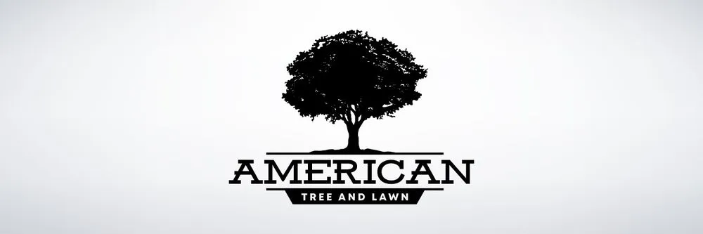 Reliable yard maintenance near you in Sidney, OH by American Tree And Lawn Services