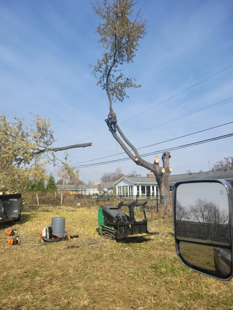 Professional yard maintenance in Dayton, OH - American Tree Cutters & Landscaping
