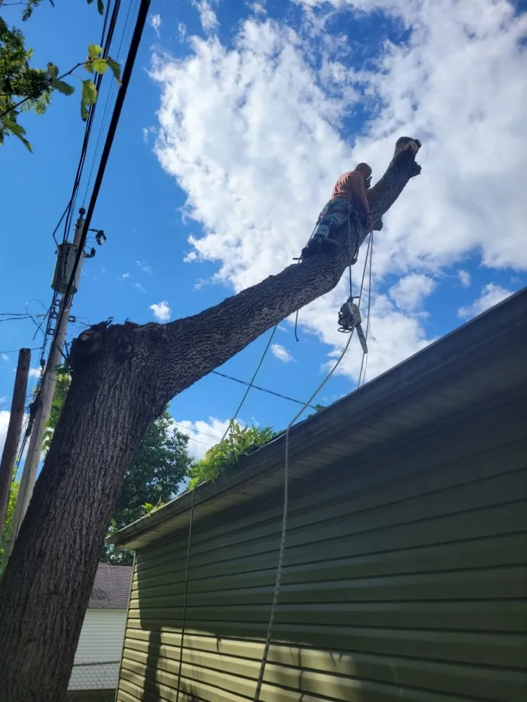 Reliable landscape design near you in Dayton, OH by American Tree Cutters & Landscaping