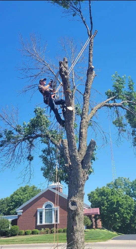 Expert lawn care service in Dayton, OH - American Tree Cutters & Landscaping