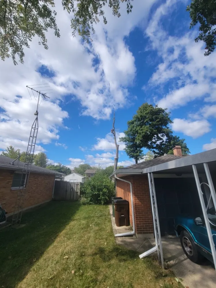 Reliable lawn mowing service in Dayton, OH - American Tree Cutters & Landscaping