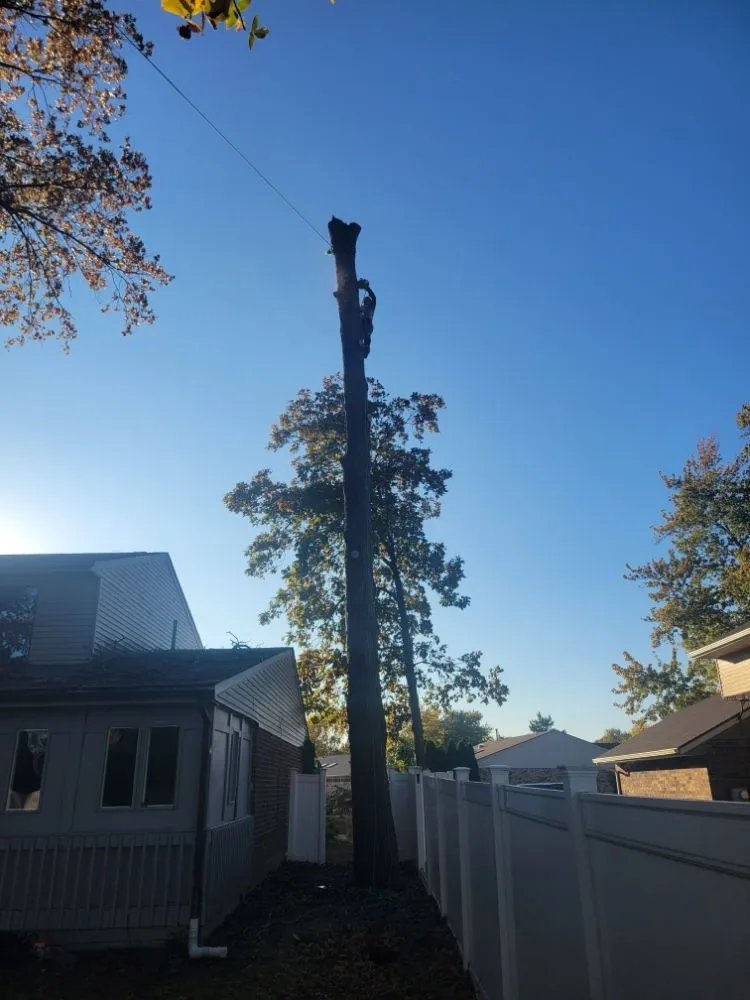 Affordable yard maintenance experts serving Dayton, OH - American Tree Cutters & Landscaping