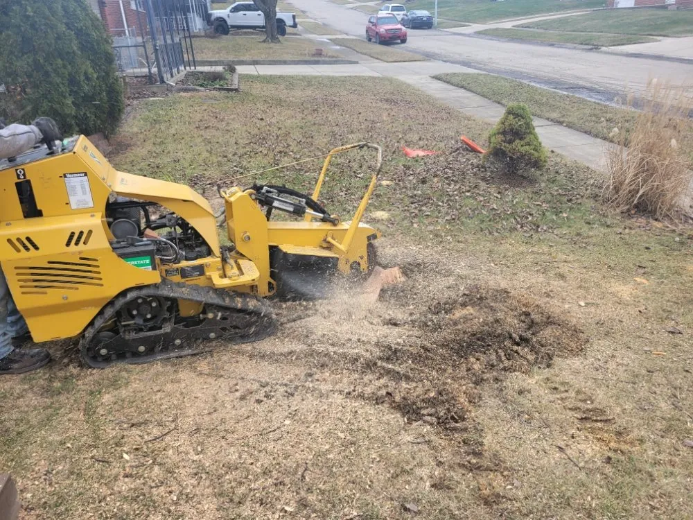 Custom landscape design experts serving Dayton, OH - American Tree Cutters & Landscaping