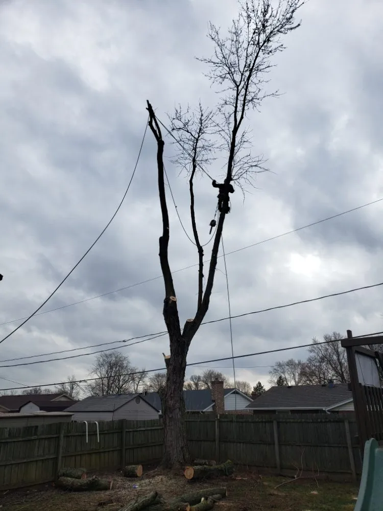 Reliable landscape installation experts serving Dayton, OH - American Tree Cutters & Landscaping