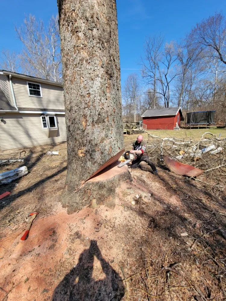 Professional landscape design experts serving Dayton, OH - American Tree Cutters & Landscaping