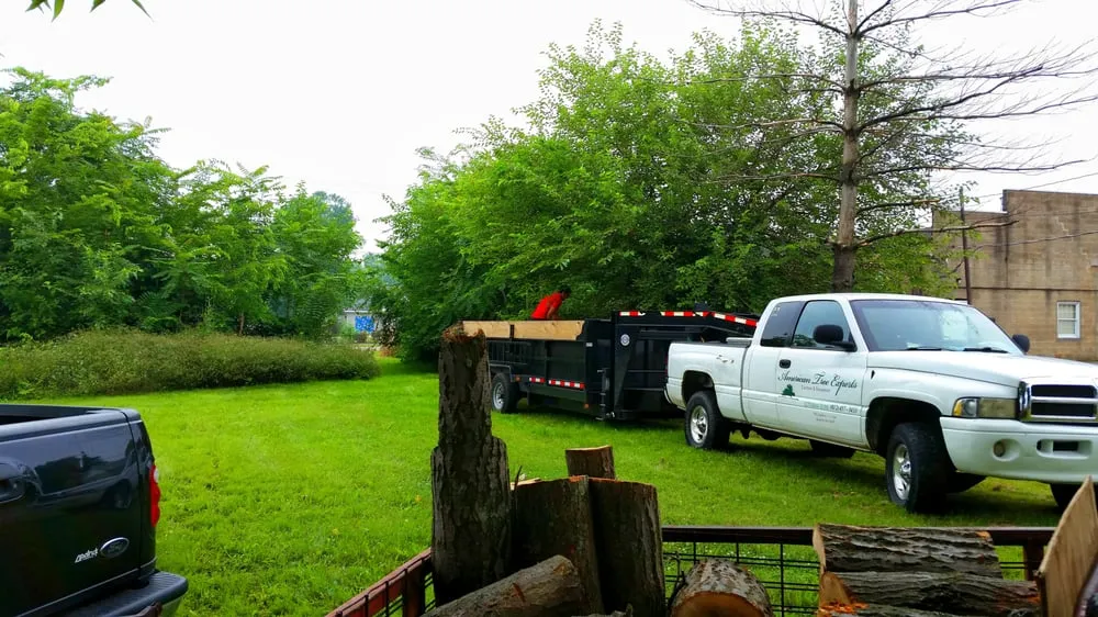 Affordable yard maintenance near you across Evansville, IN - American Tree Experts & Landscaping