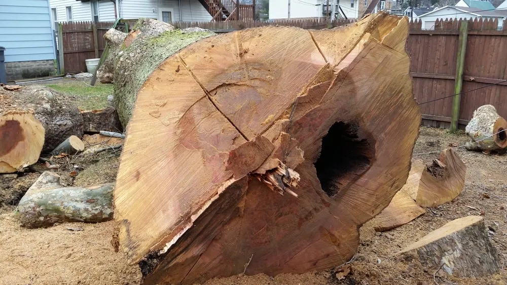 Top-rated outdoor landscaping for year-round maintenance in Evansville, IN by American Tree Experts & Landscaping