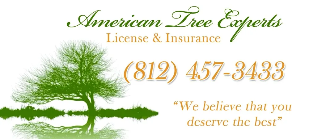 Trusted yard maintenance for year-round maintenance in Evansville, IN by American Tree Experts & Landscaping