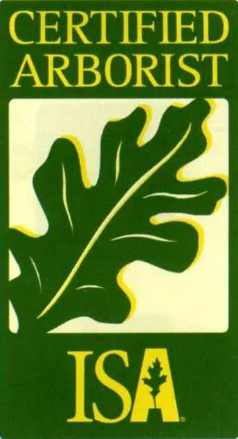 Custom outdoor landscaping in Columbiana, AL - American Tree Maintenance