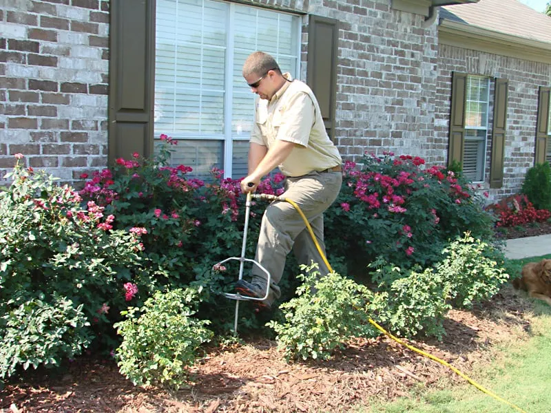 Top-rated landscape installation in Columbiana, AL - American Tree Maintenance