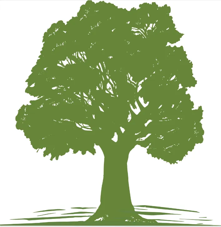 Expert lawn mowing service experts serving Valparaiso, IN - American Tree Pros