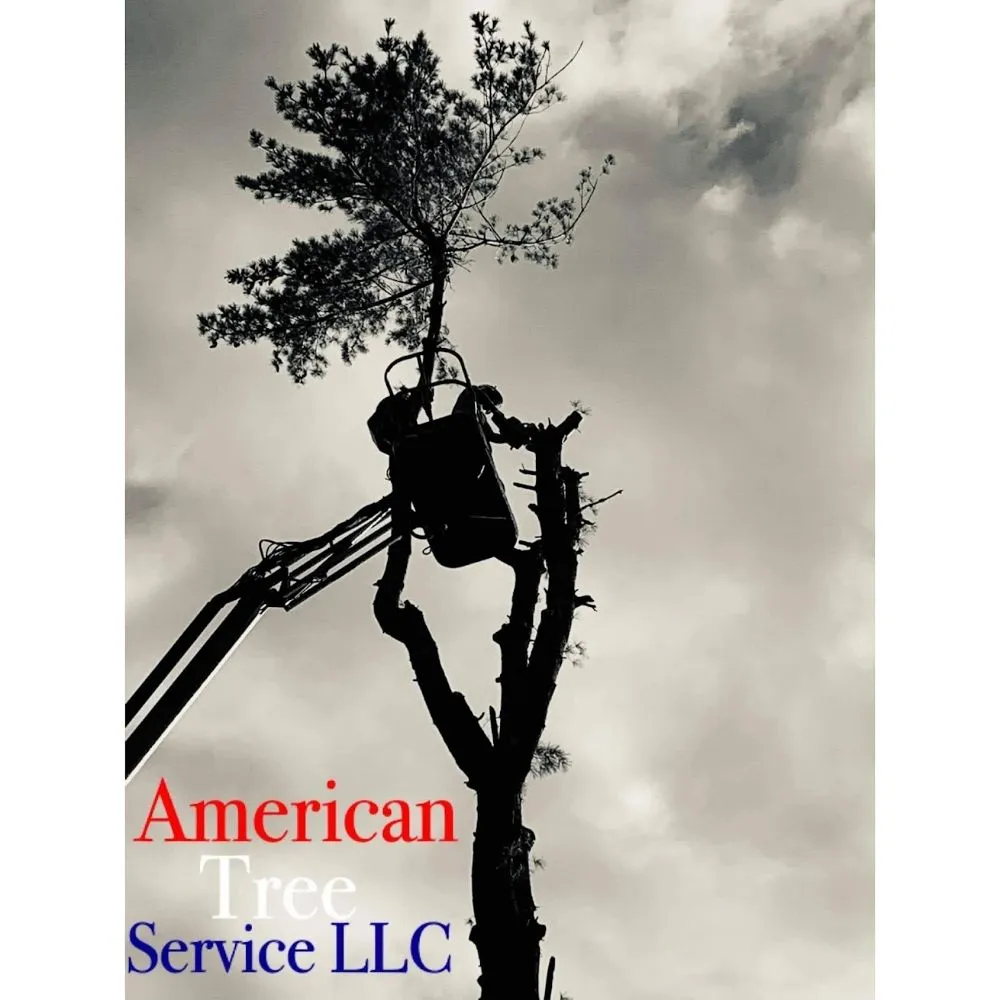 Reliable lawn mowing service for year-round maintenance across Concord, NH - American Tree Service