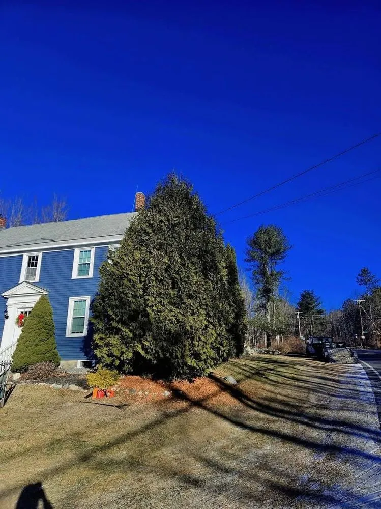 Trusted landscape design in Concord, NH by American Tree Service