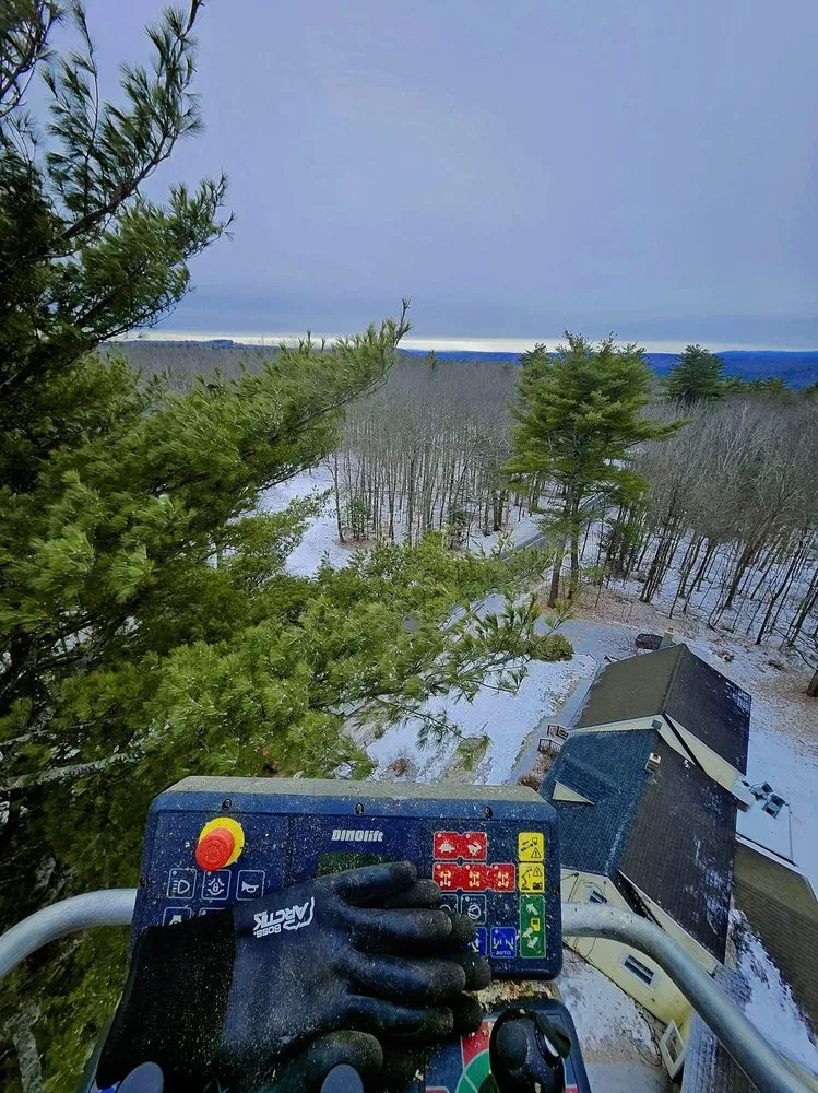 Custom garden landscaping with custom design in Concord, NH by American Tree Service