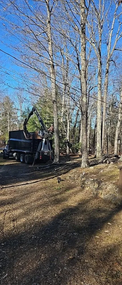 Trusted yard maintenance experts serving Concord, NH - American Tree Service