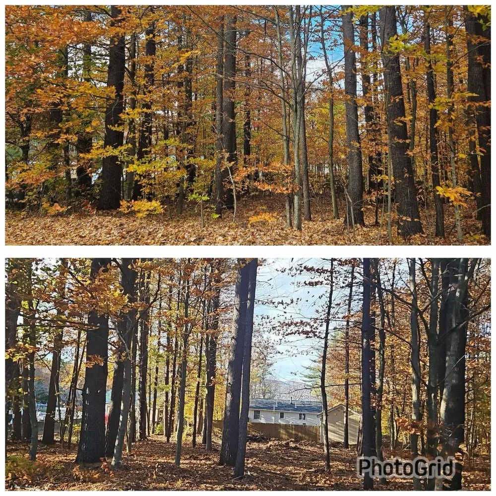 Trusted lawn mowing service experts serving Concord, NH - American Tree Service