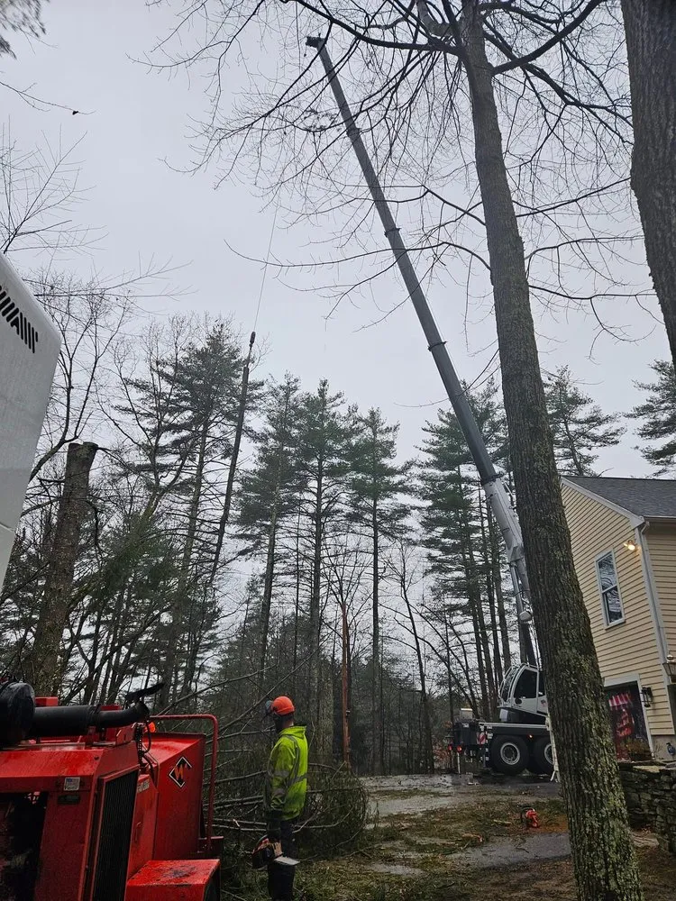 Local landscape installation for outdoor upgrades across Concord, NH - American Tree Service