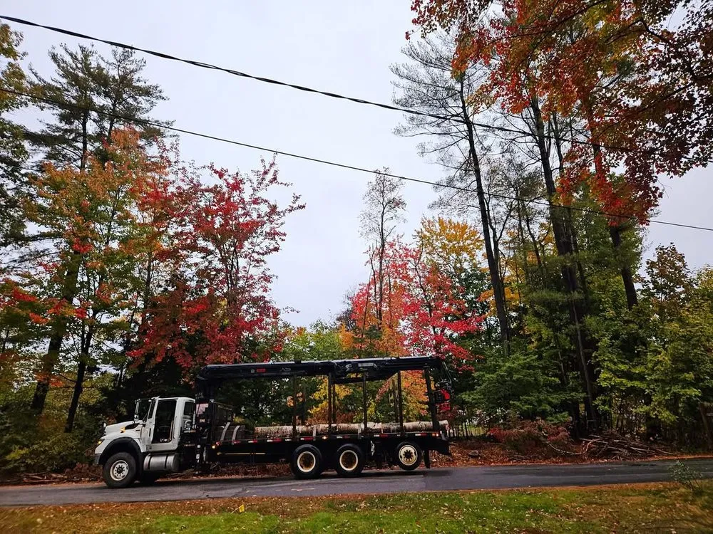 Reliable landscape design in Concord, NH - American Tree Service