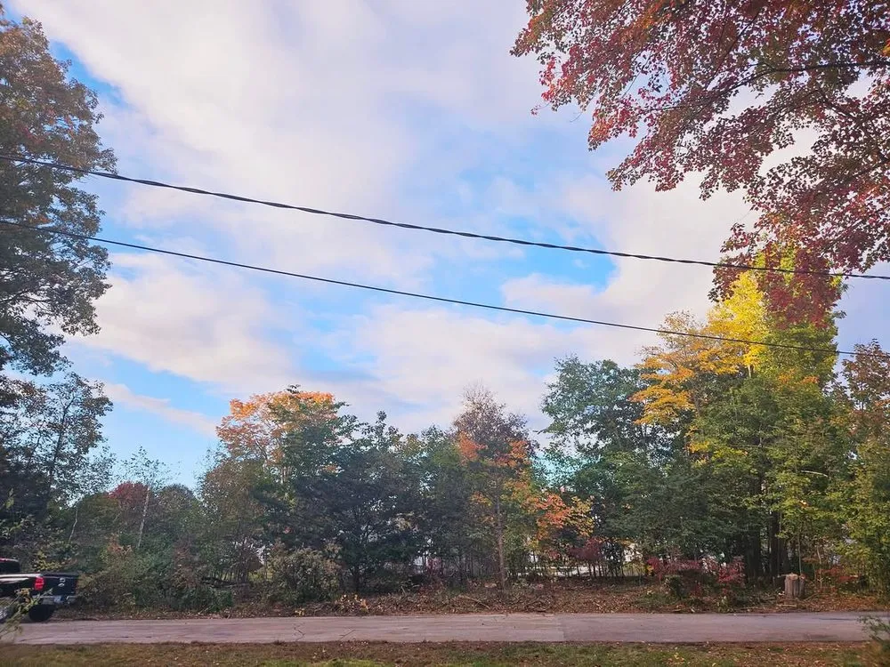 Expert landscape installation in Concord, NH by American Tree Service